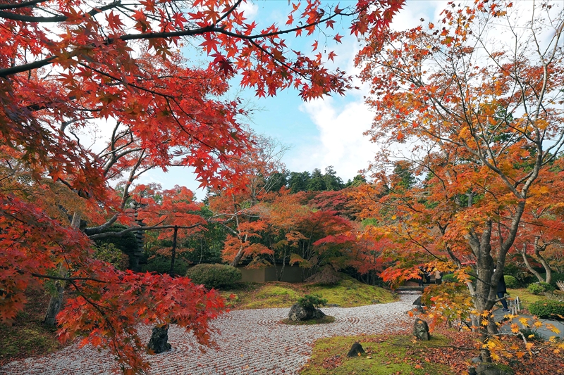 1011_円通院_宮城