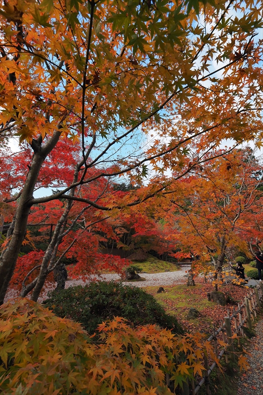 1014_円通院_宮城