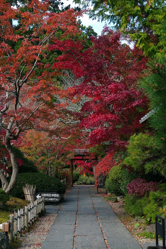 1017_円通院_宮城