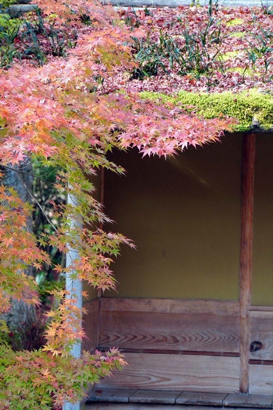 1024_円通院_宮城