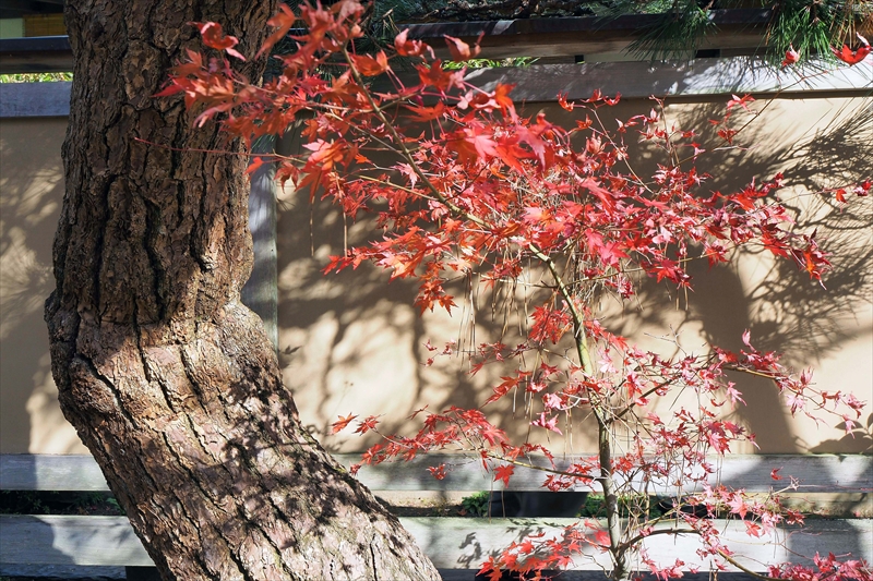 1025_円通院_宮城