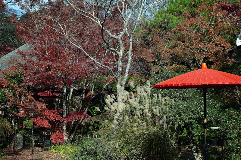 1029_円通院_宮城