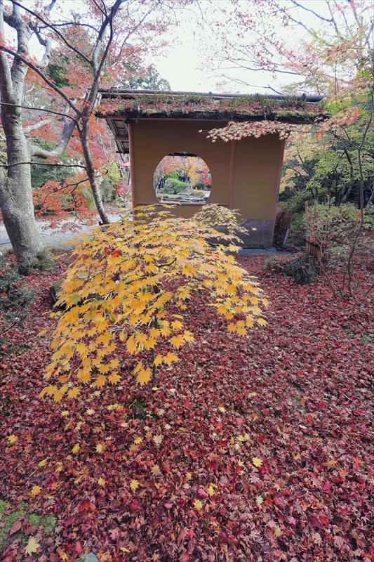 1033_円通院_宮城