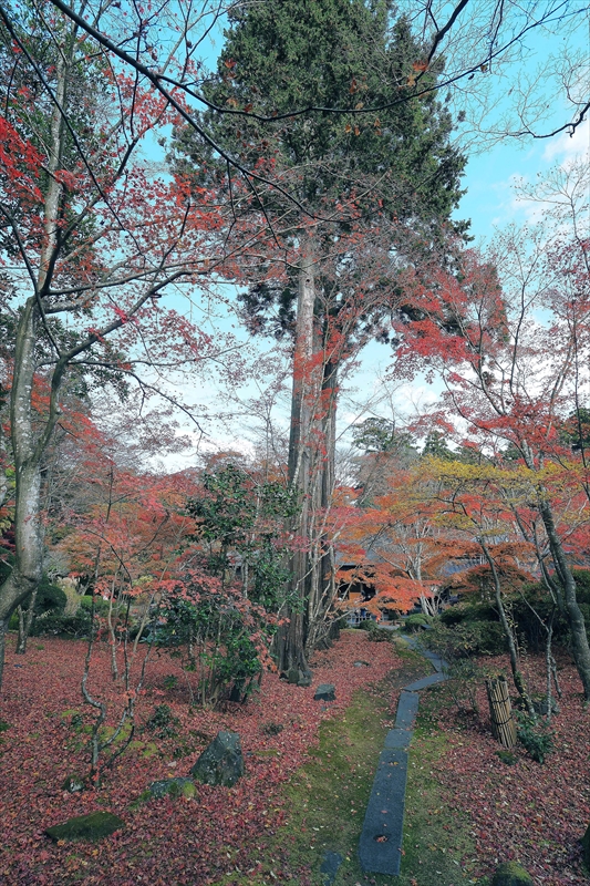 1036_円通院_宮城