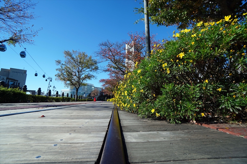 1022_汽車道_神奈川