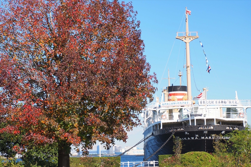 1034_山下公園_神奈川