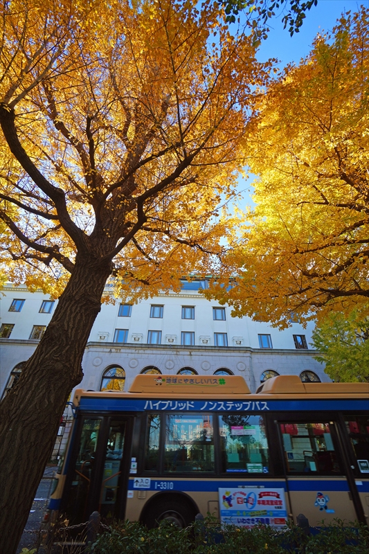 1037_山下公園_神奈川