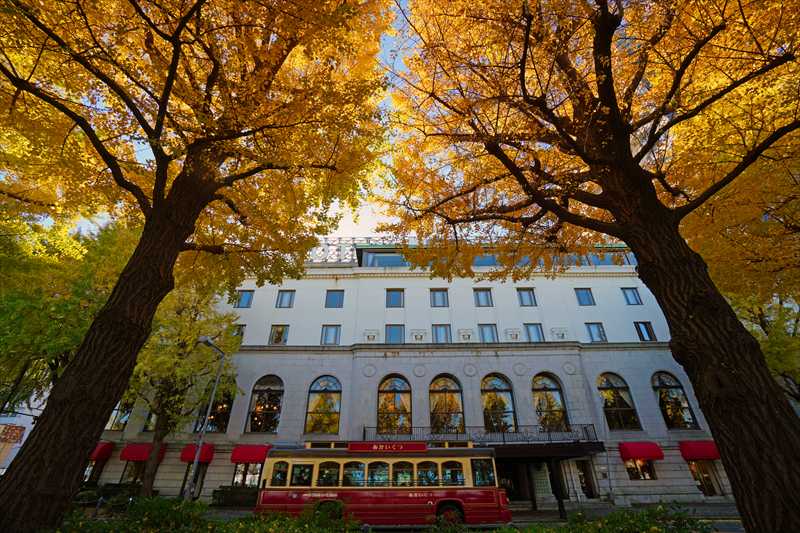 1038_山下公園_神奈川