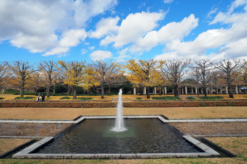 1133_昭和記念公園_東京