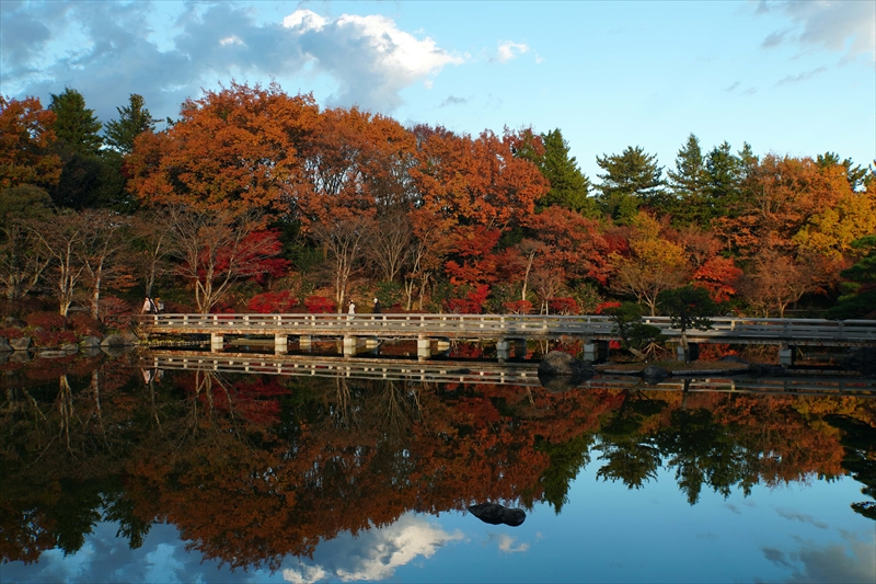 1172_昭和記念公園_東京