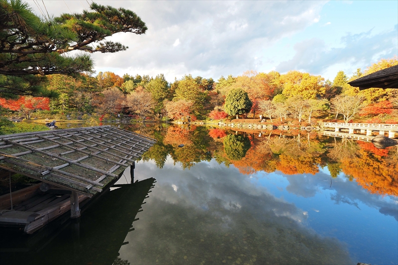 1174_昭和記念公園_東京