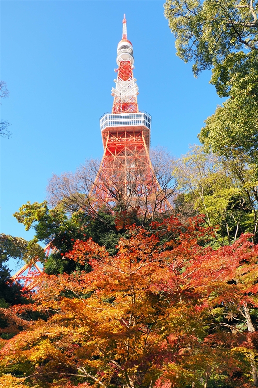 1007_芝公園_東京
