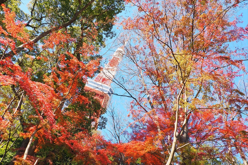 1008_芝公園_東京