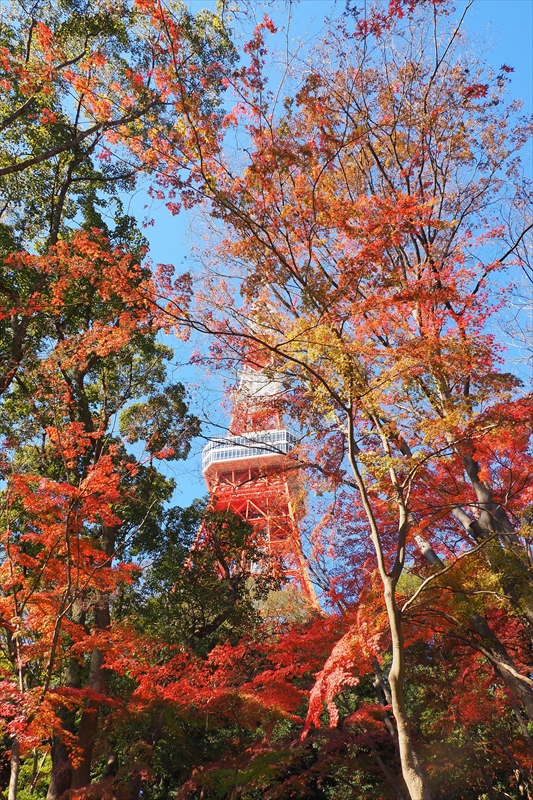 1009_芝公園_東京