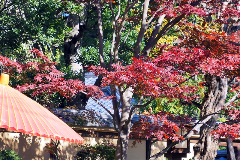 1014_芝公園_東京