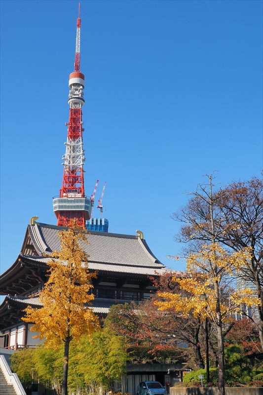 1064_増上寺_東京