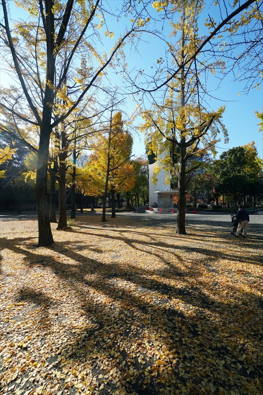 1016_芝公園_東京