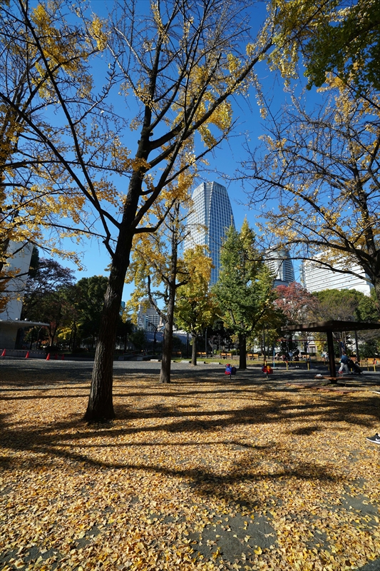 1017_芝公園_東京