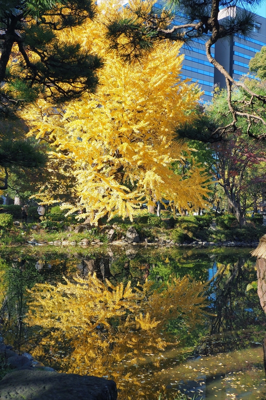 1037_日比谷公園_東京