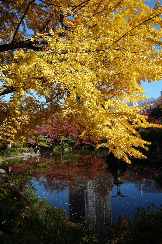 1039_日比谷公園_東京