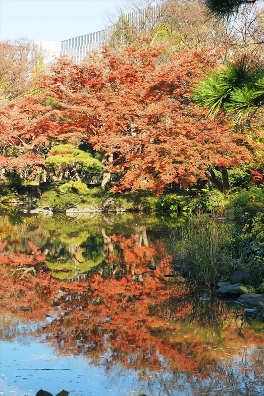 1041_日比谷公園_東京