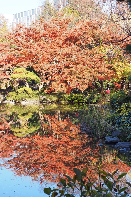 1052_日比谷公園_東京