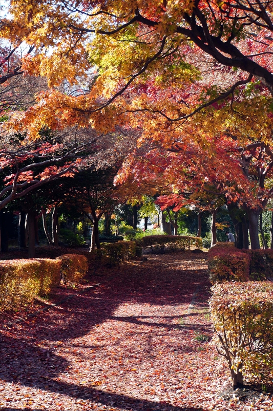 1189_横浜市新羽町_神奈川