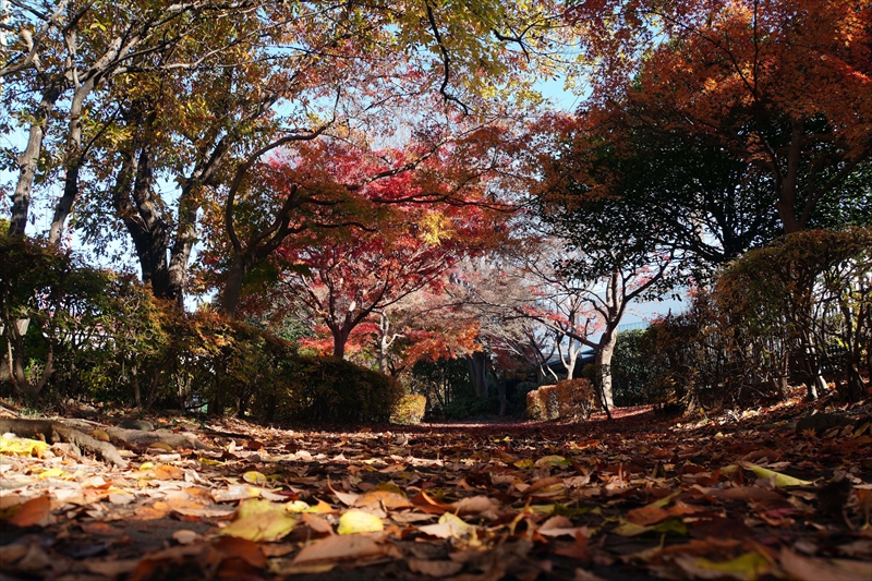 1190_横浜市新羽町_神奈川