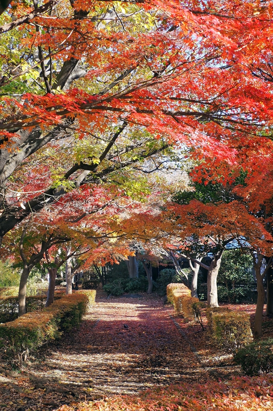 1194_横浜市新羽町_神奈川