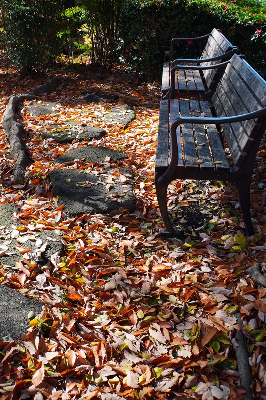 1202_横浜市新羽町_神奈川