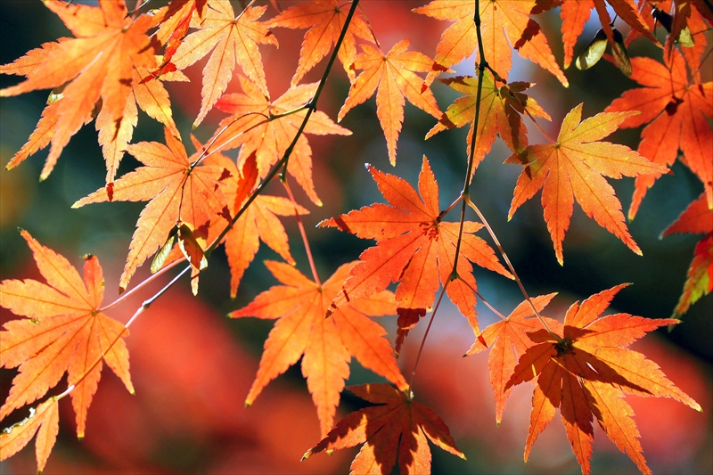 1206_横浜市新羽町_神奈川