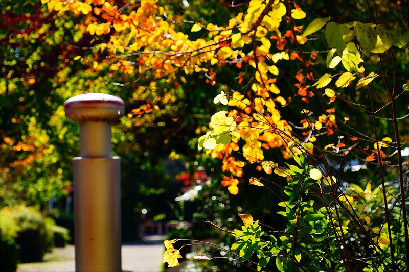 1210_横浜市新羽町_神奈川