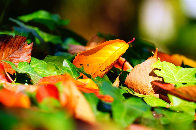 1215_横浜市新羽町_神奈川