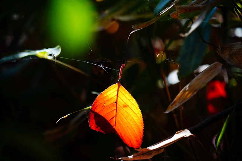1218_横浜市新羽町_神奈川