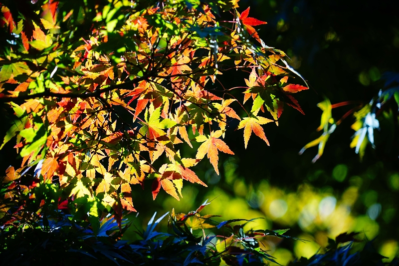 1219_横浜市新羽町_神奈川