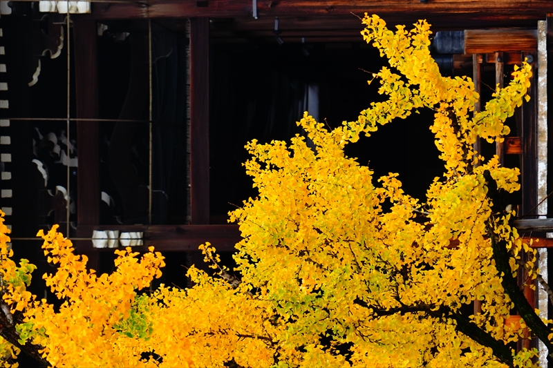 1013_洛中 東本願寺_京都