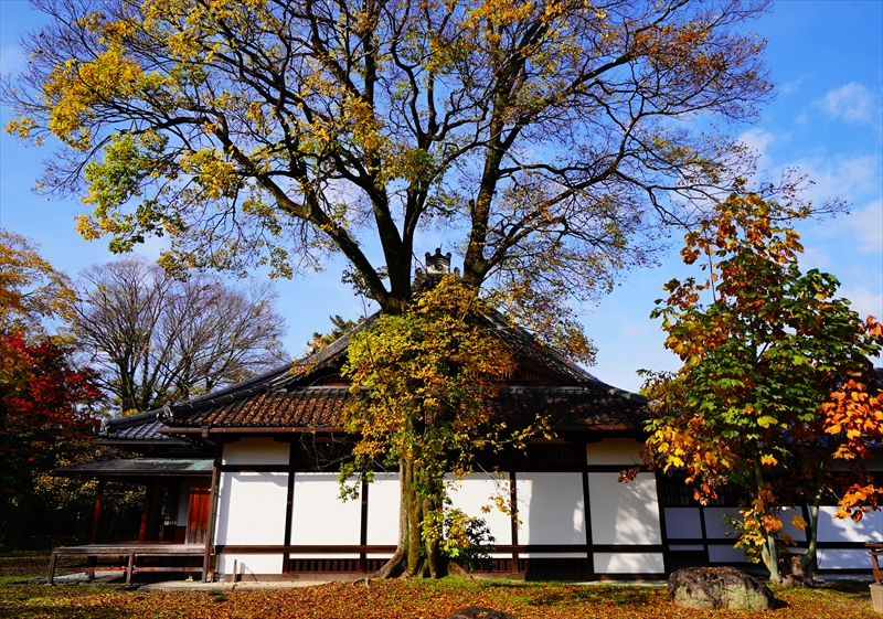 1041_洛中 京都御苑_京都