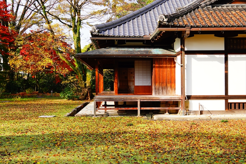 1044_洛中 京都御苑_京都