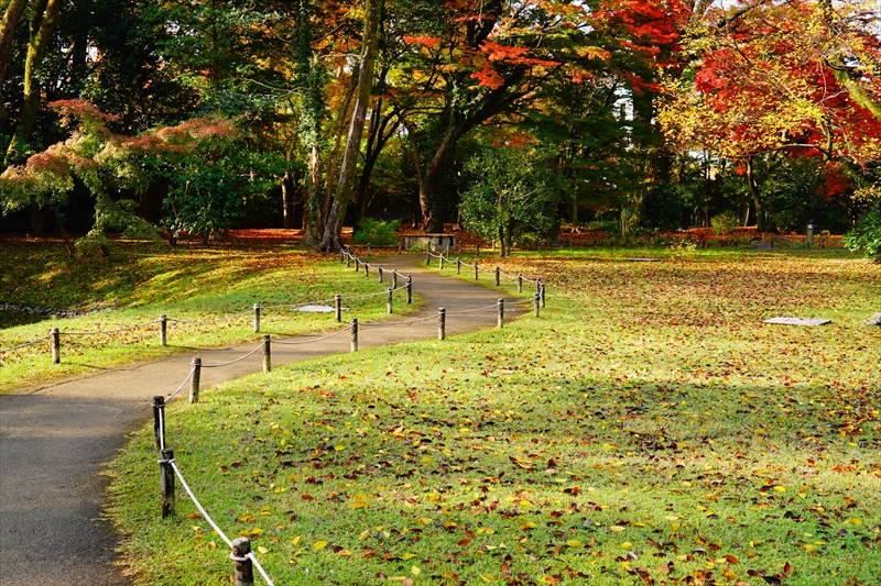 1045_洛中 京都御苑_京都