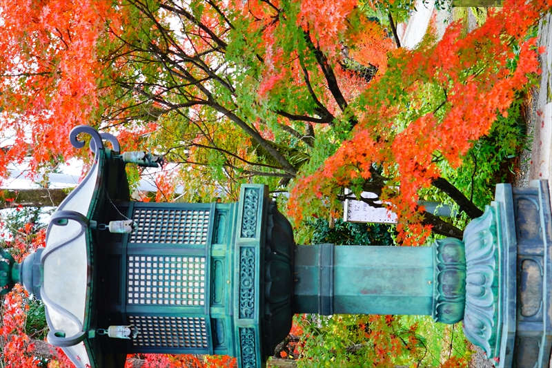 1224_洛東 真正極楽寺 (真如堂)_京都