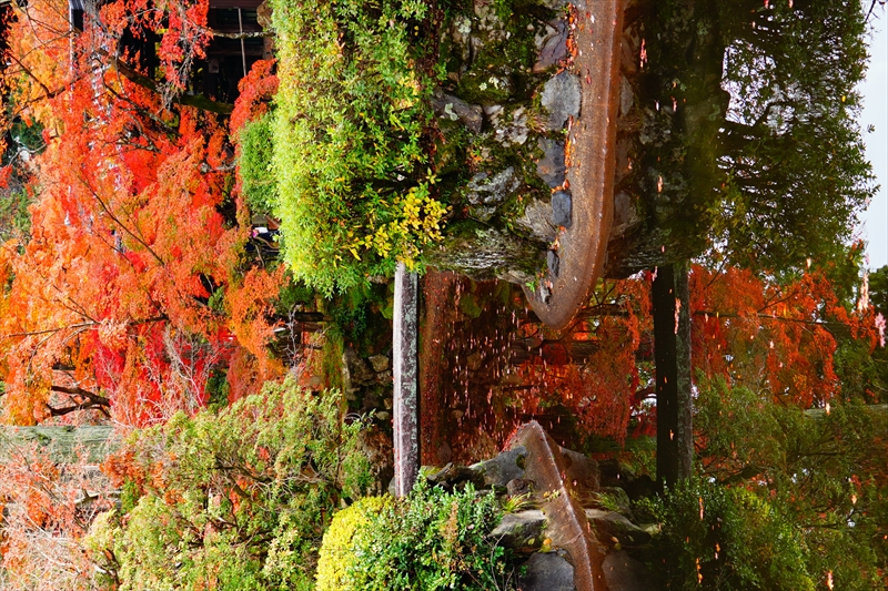 1241_洛東 真正極楽寺 (真如堂)_京都