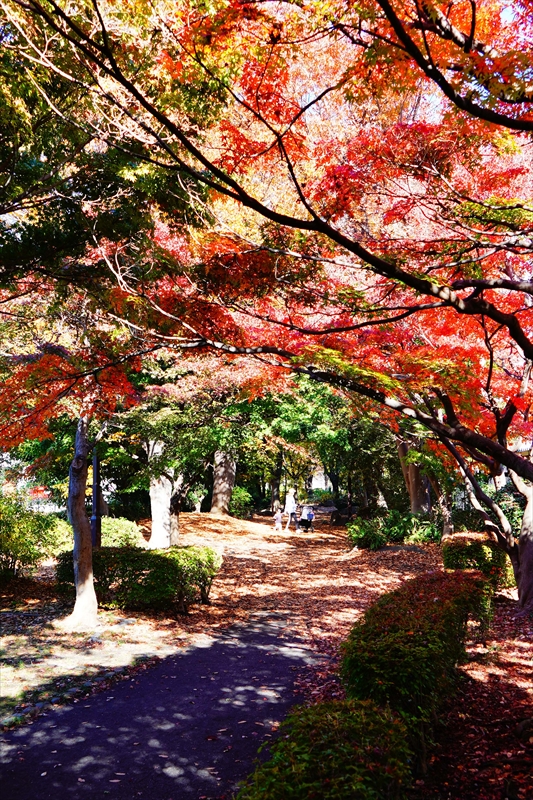1220_横浜市新羽町_神奈川