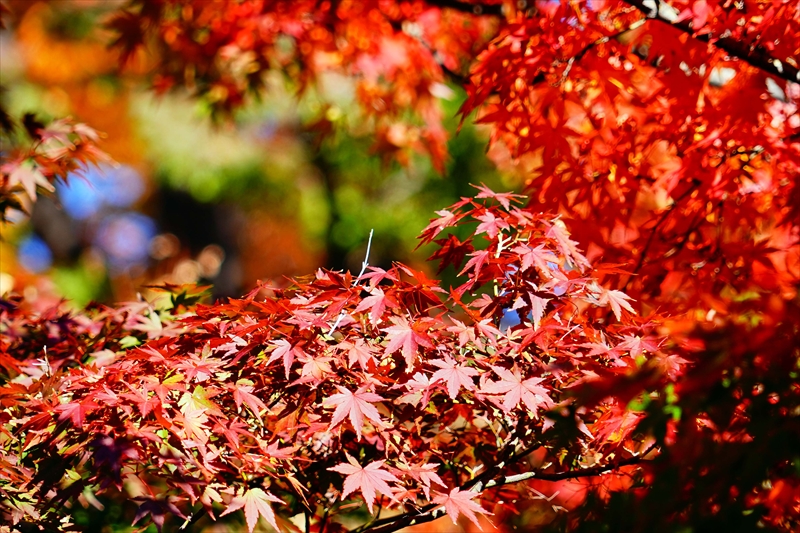 1221_横浜市新羽町_神奈川