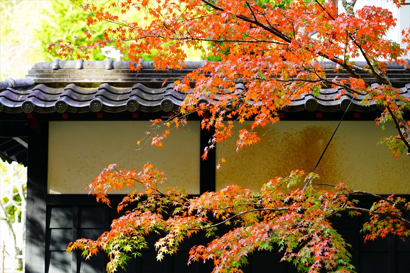 1020_法多山尊永寺_静岡
