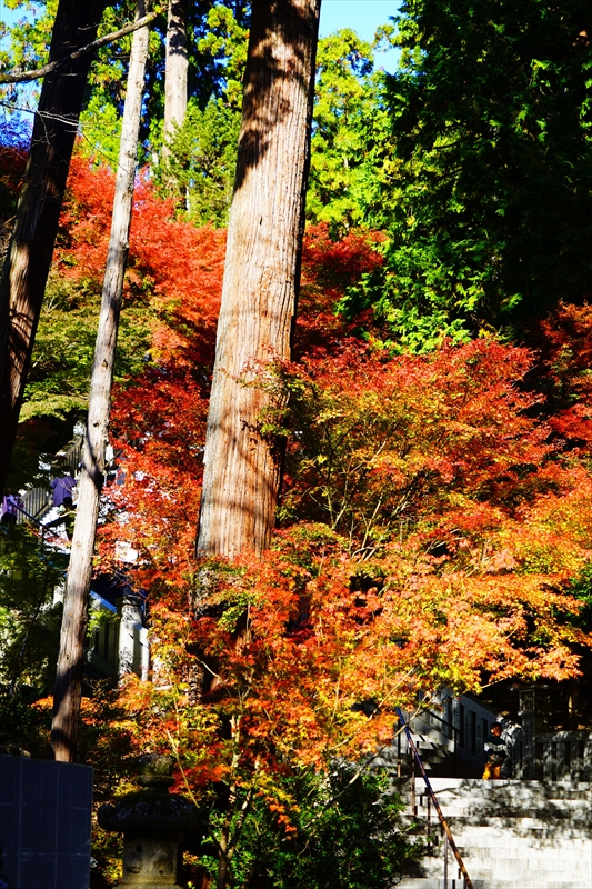 1029_法多山尊永寺_静岡