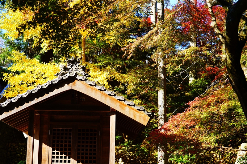 1030_法多山尊永寺_静岡