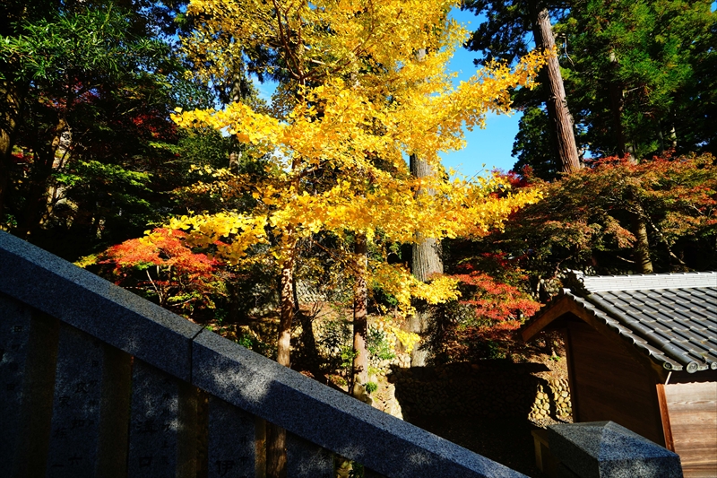 1031_法多山尊永寺_静岡