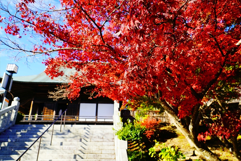 1032_法多山尊永寺_静岡