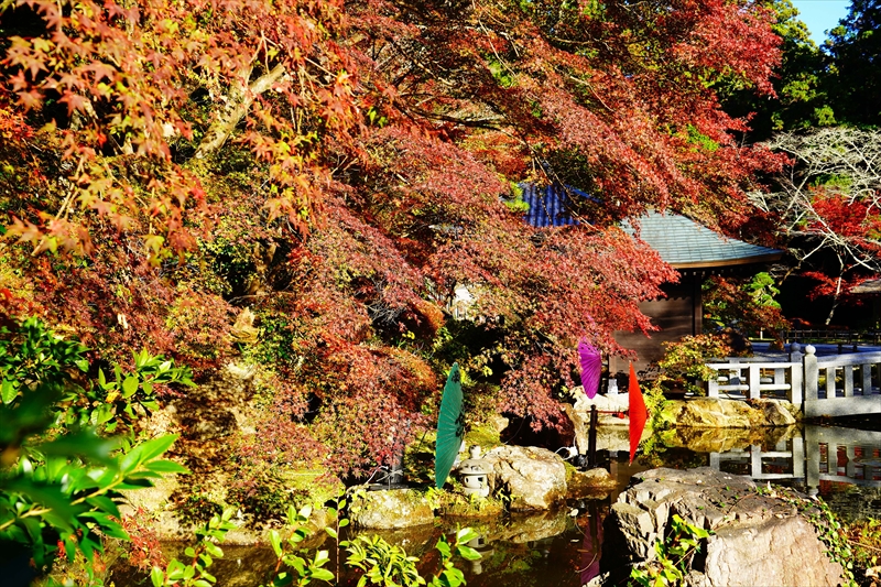 1033_法多山尊永寺_静岡