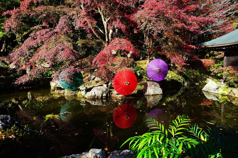 1034_法多山尊永寺_静岡